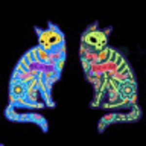 Meet your Posher, Marti